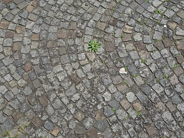 Stone Paving texture (ID:ffaeg53413)
