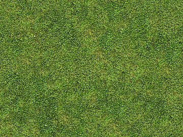 moss texture (ID:ffaeg20079)