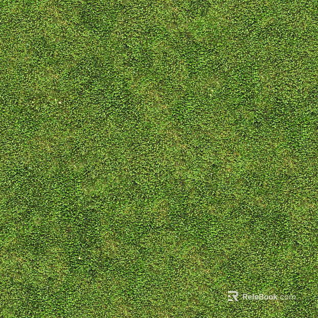 moss texture