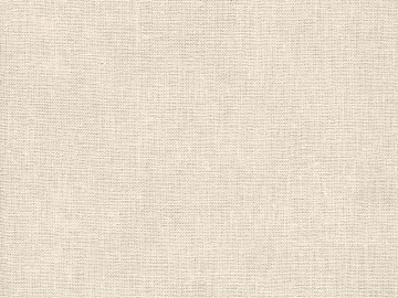 plain cloth texture (ID:ffagg74621)