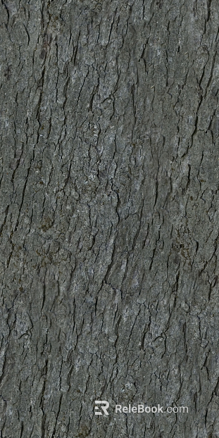 ancient tree bark texture