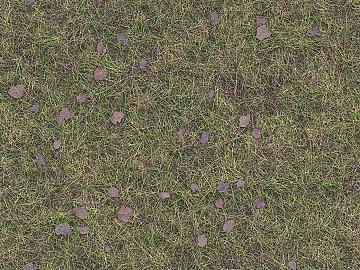 Autumn lawn ground 3d model