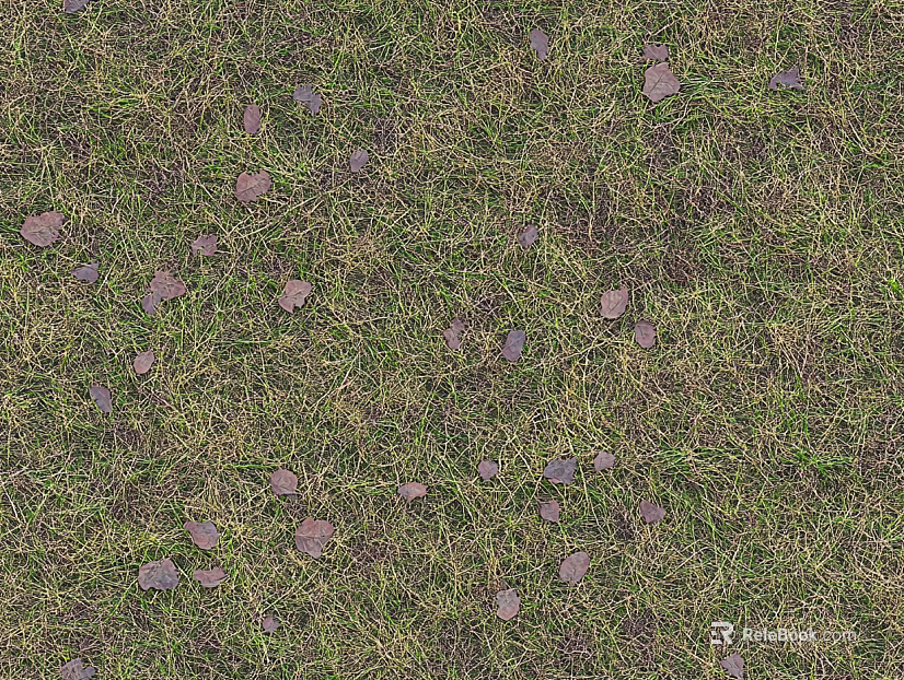 Autumn lawn ground texture