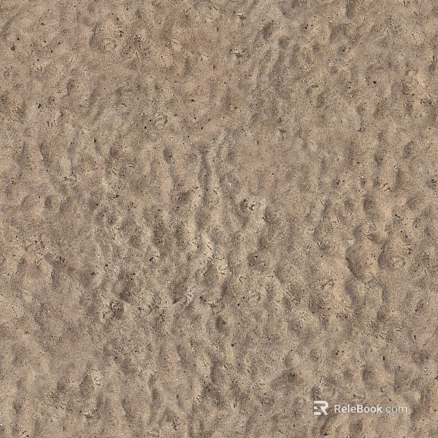 Beach Beach texture