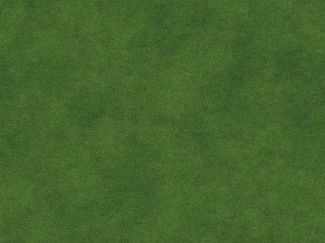 Turf texture (ID:ffach128016)