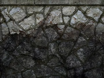 Culture Stone Black Culture Stone texture (ID:ffabg67851)