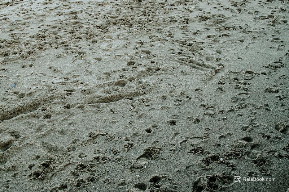 Sand texture