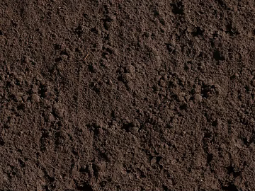 Mud texture (ID:ffach207806)