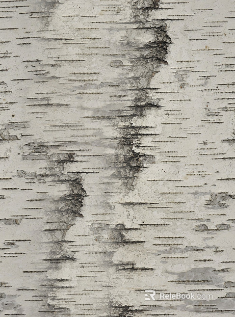 bark texture