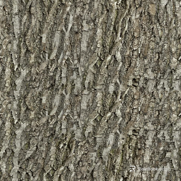 bark texture