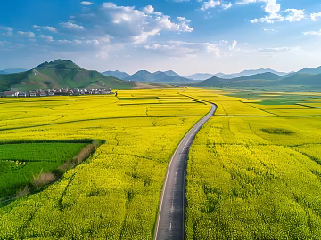 Pastoral scenery texture (ID:ffach753075)