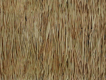 Thatched roof texture (ID:ffabg88488)