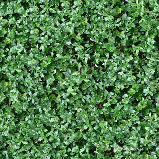Turf ground texture