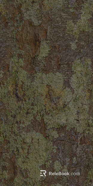 Gray brown with moss bark natural decoration texture