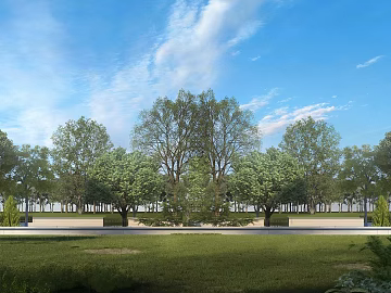 Park Exterior texture (ID:ffaeg39010)