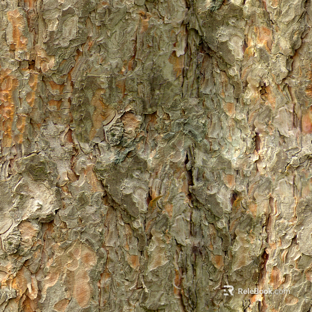 bark texture