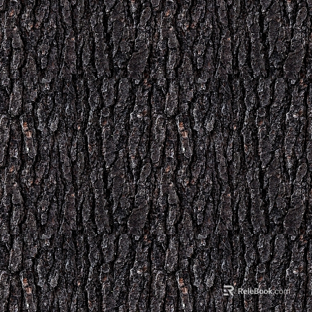 bark texture