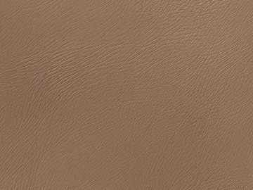 Leather Leather Leather Leather Textured Leather Animal Leather 3d model