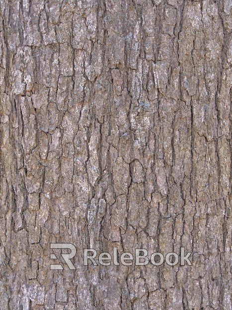 bark texture