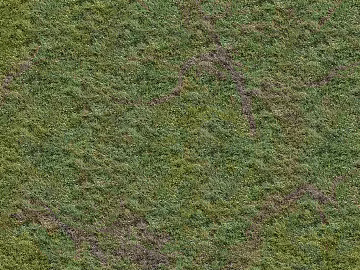 Grassland Grassland Soil texture (ID:ffach323938)