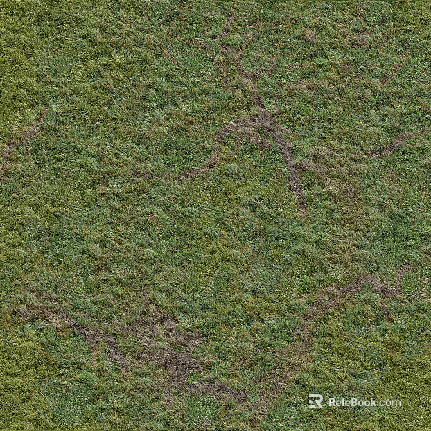 Grassland Grassland Soil texture