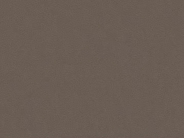 fine grain leather texture (ID:ffach698866)