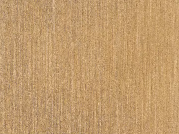 plain wall covering wallpaper 3d model