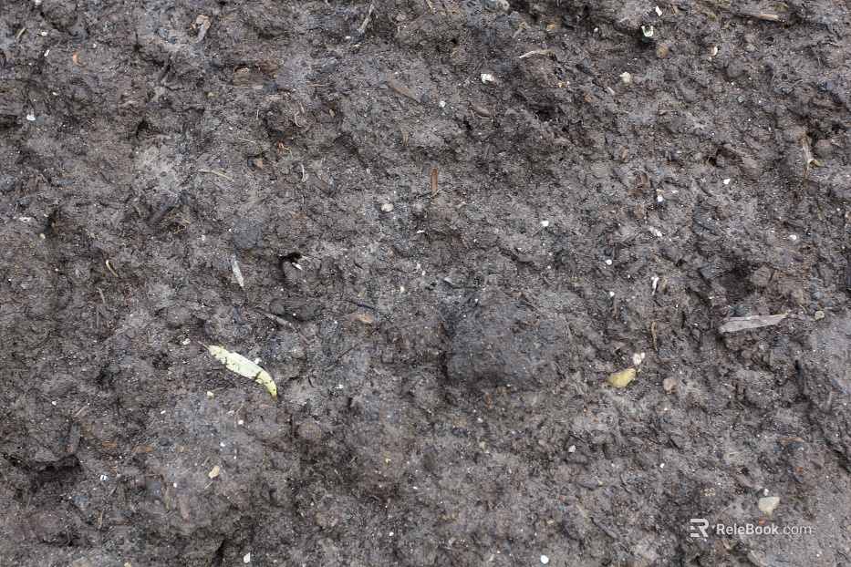 Mud texture