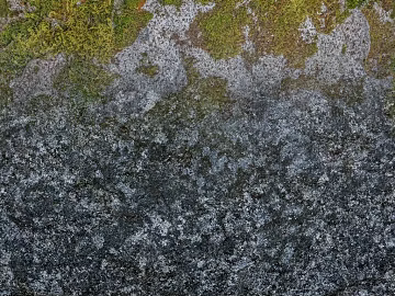 Turf texture (ID:ffaag21843)