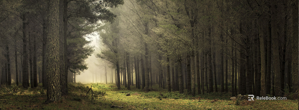 The fog screen can be layered, the fog screen is deep, the panoramic view Sen path mask Pantone color number indicates the daytime forest panorama. texture