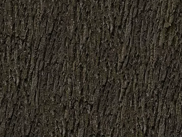 bark texture (ID:ffacg53611)