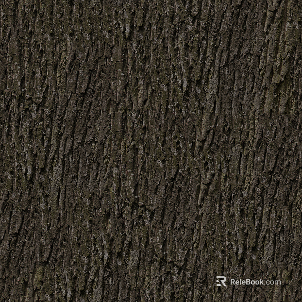 bark texture
