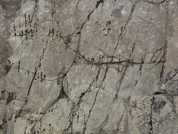 Rock texture (ID:ffadf6657)