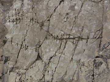 Rock texture (ID:ffadf6657)