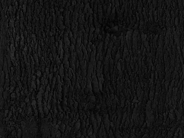 bark texture (ID:ffajg93662)