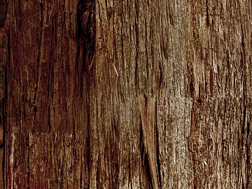 bark texture (ID:ffagg63592)