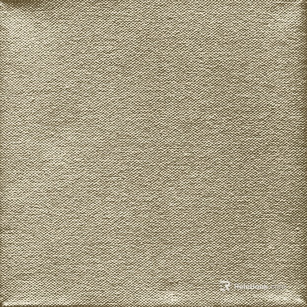 plain cloth texture