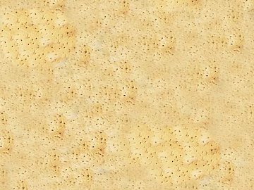 Ottoman beige texture (ID:ffaag43254)