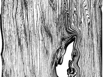 Black and white wood grain texture (ID:ffacg61506)