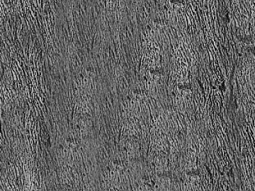 bark texture (ID:ffajg14564)