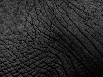 Coarse-grain leather texture (ID:ffabg00740)