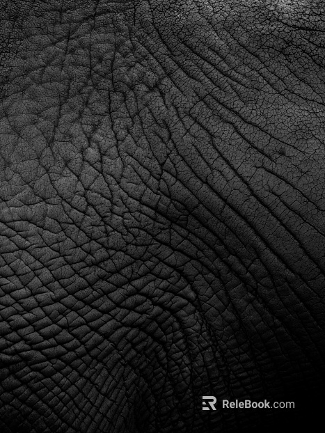 Coarse-grain leather texture