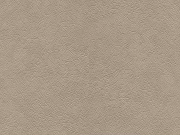 Coarse-grain leather texture (ID:ffajf6287)