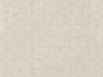 geometric carpet texture (ID:ffagg11723)