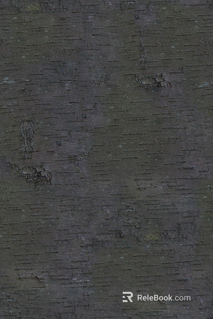 bark texture