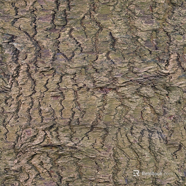 Grey Brown Bark Natural Texture Map texture