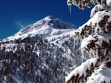 Snow 3d model