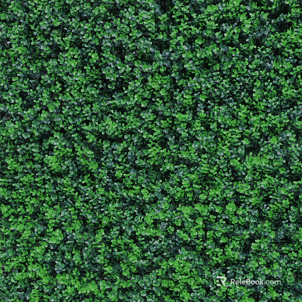 Plants texture