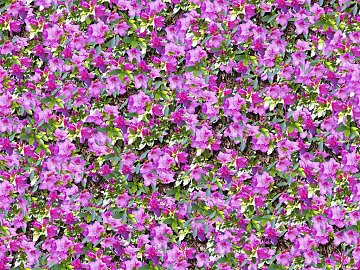 Flowers texture (ID:ffaeg29374)