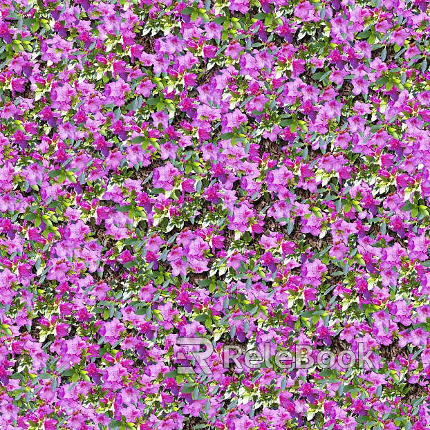 Flowers texture